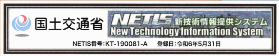 NETIS KT-190081-A